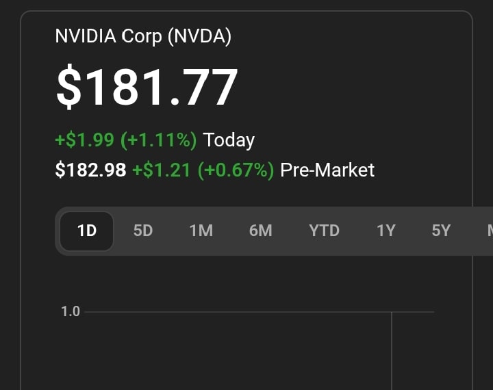 Nvidia Stock